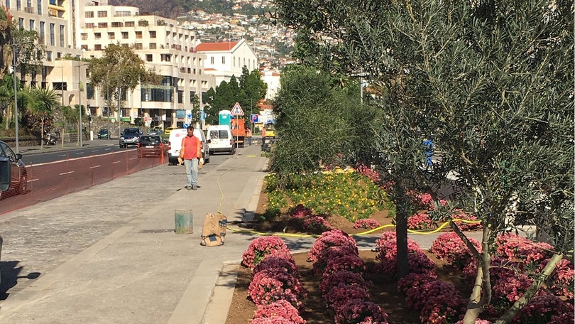 Imagem de SRETC atribui estacionamentos na doca da Avenida Sá Carneiro