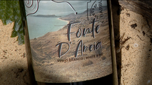 Imagem de Fonte D`Areia é um novo vinho no mercado (vídeo)