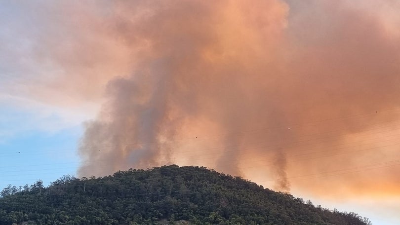 Imagem de Incêndio florestal ativo junto ao Parque Empresarial da Ribeira Brava