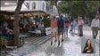 Imagem de Festival da Natureza trouxe mais turistas para a Região (vídeo)