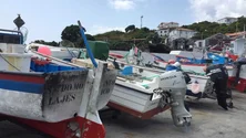 Imagem de Pesca de goraz está proibida até ao final do mês (Vídeo)