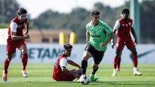 Imagem de Sporting e Porto vencem em sessões de treino conjuntas