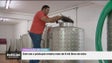 Imagem de Requalificação da Quinta Pedagógica dos Prazeres no início de 2024 (vídeo)