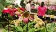Imagem de Negócio das flores tenta sobreviver (vídeo)