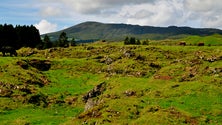 Intervenção na Serra de Santa Bárbara vai proteger fauna e flora local (Vídeo)