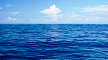 Imagem de Parlamento confirmou Lei do Mar