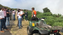 Imagem de Limpeza de terrenos privados na Madeira tem financiamento de programa regional
