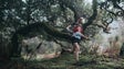 Imagem de Trail do Porto Moniz com mais de 700 atletas inscritos