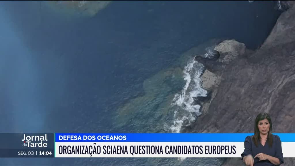 Europeias. Sciaena quis saber grau de empenho dos candidatos em conservar os oceanos