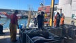Armadores esperam aumento da quota do atum patudo (vídeo)