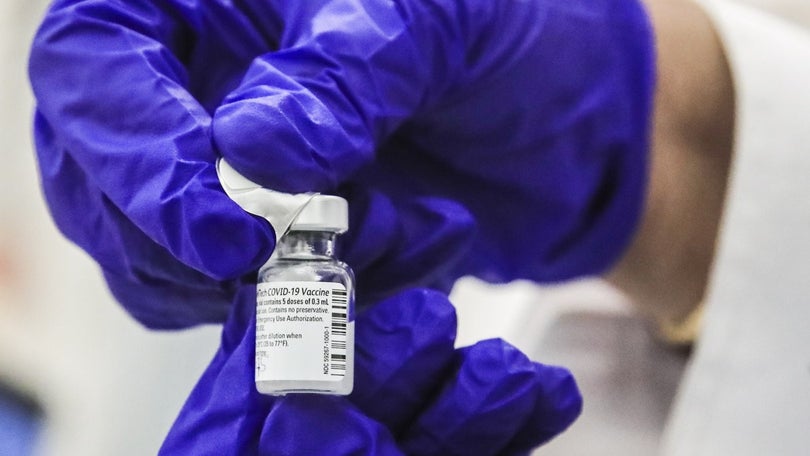 Imagem de Já foram atribuídas quase 250 mil primeiras vacinas