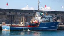 Menos atuneiros dos Açores autorizados a pescar na Madeira (Vídeo)