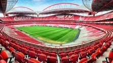 Imagem de TAD anula sanção de cinco jogos à porta fechada ao Benfica imposta pela FPF