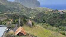 Imagem de «O meu sítio»: Ribeira Tem-te não caias (áudio)