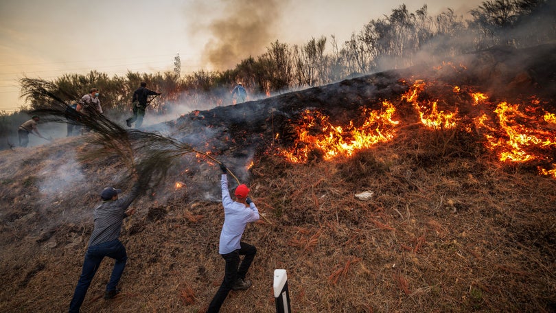 Imagem de Fogo em Valpaços reativa e obriga à mobilização de quatro meios aéreos