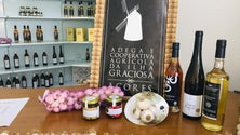 Imagem de Adega Graciosa prevê mais qualidade na produção de vinho branco este ano (Vídeo)