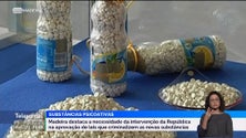 Imagem de Droga vendida a 50 cêntimos por dose em algumas zonas da Região (vídeo)