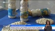 Imagem de Droga vendida a 50 cêntimos por dose em algumas zonas da Região (vídeo)