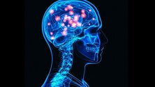 Imagem de Celebrou-se o dia nacional da epilepsia (Vídeo)