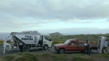 Imagem de Recolha de “monstros” tem vindo a aumentar na Madeira (Áudio)