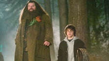 Imagem de Morreu Robbie Coltrane, ator que interpretou Hagrid em «Harry Potter», aos 72 anos