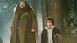 Imagem de Morreu Robbie Coltrane, ator que interpretou Hagrid em «Harry Potter», aos 72 anos