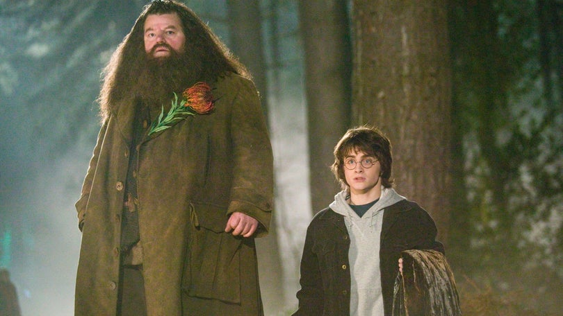 Imagem de Morreu Robbie Coltrane, ator que interpretou Hagrid em «Harry Potter», aos 72 anos
