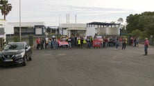 Imagem de Trabalhadores dos matadouros em greve