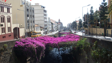 Imagem de Novo projeto para a foz da Ribeira de Santa Luzia