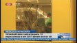 Imagem de Lista de espera por uma cirurgia na Madeira já vai quase nos 18 mil