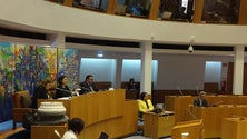 Parlamento reúne por videoconferência (Som)