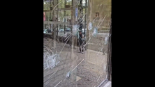 Imagem de Ativistas climáticos partem montra de loja Gucci na Avenida da Liberdade