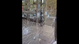 Imagem de Ativistas climáticos partem montra de loja Gucci na Avenida da Liberdade