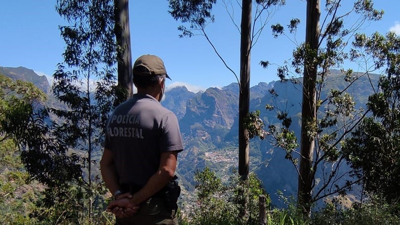 Identificado autor de despejo ilegal na Calheta