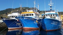 Imagem de Não há excesso de peixe na Madeira – Coopesca (Áudio)
