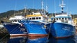 Imagem de Não há excesso de peixe na Madeira – Coopesca (Áudio)
