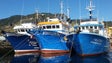Não há excesso de peixe na Madeira – Coopesca (Áudio)