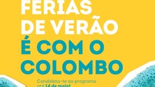 Imagem de Direção Regional da Juventude tem programa específico para jovens do Porto Santo (áudio)
