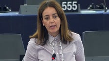 Imagem de Eurodeputada alerta sobre efeitos nocivos das taxas dos EUA sobre os Açores (Som)
