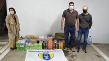 Imagem de ADRAP angariou 250 kg de alimentos para famílias carenciadas