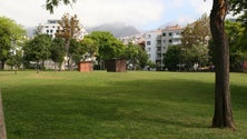 Imagem de Jardim de Santa Luzia recebe cinema (áudio)