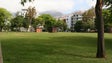 Imagem de Jardim de Santa Luzia recebe cinema (áudio)