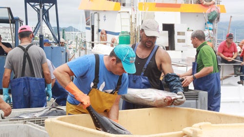 Açores limita descargas de atum