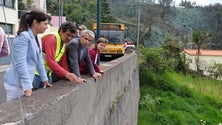 Imagem de Secretaria do Ambiente prevê limpar 480 hectares de floresta até 2019