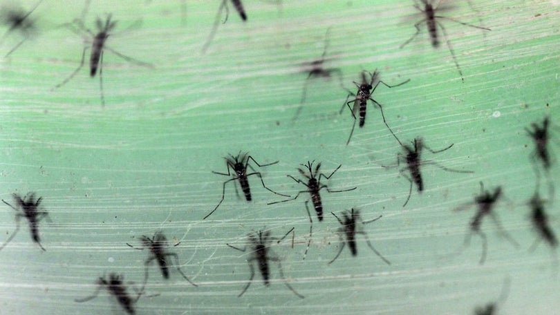 Imagem de Metas do acordo de Paris são plano de saúde pública mais ambicioso do século