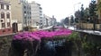Imagem de Muralhas das ribeiras do Funchal não vão ser betonadas (Vídeo)