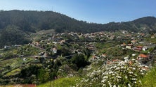 IPMA prevê Páscoa sem chuva na Madeira (vídeo)