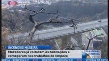 Imagem de Moradores de São Roque e Santo António regressam a casa (Vídeo)