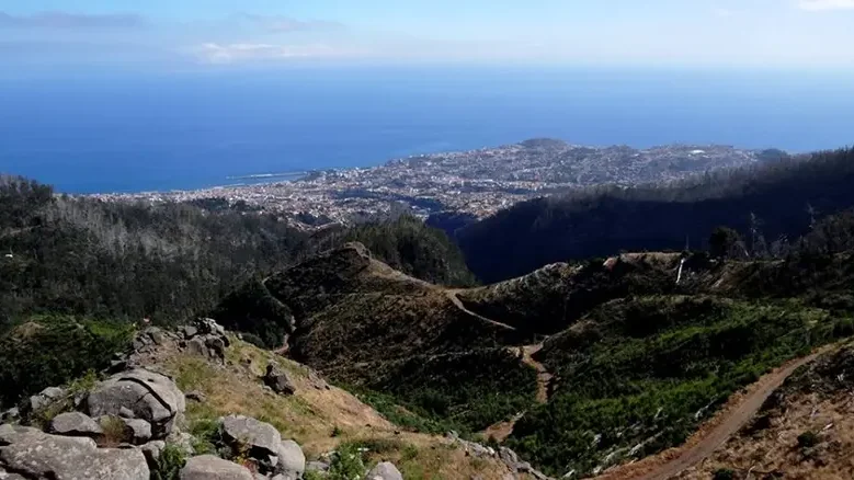 Acidente de trabalho no Parque Ecológico do Funchal vitima funcionário de empresa contratada