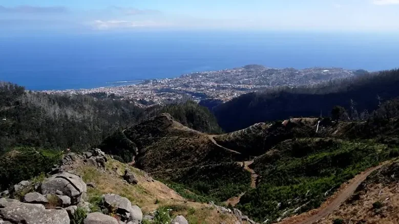 Imagem de Acidente de trabalho no Parque Ecológico do Funchal vitima funcionário de empresa contratada